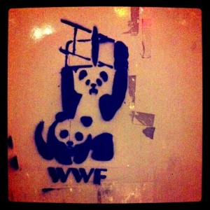 WWF Smackdown via @brononymous TO http://instagr.am/p/G1pRu/