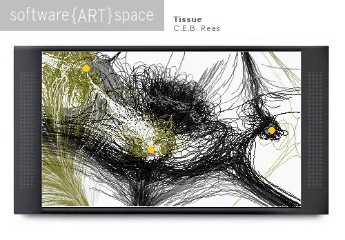 software art space