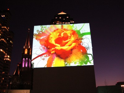 Flowers with Tendrils at Aurora 2011